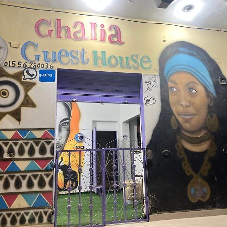 Ghalia Guest House アスワン エクステリア 写真