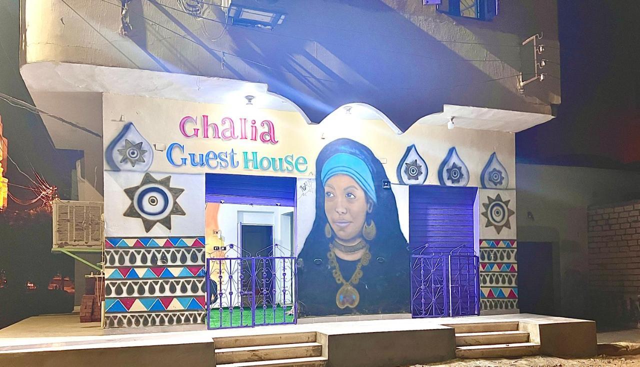 Ghalia Guest House アスワン エクステリア 写真